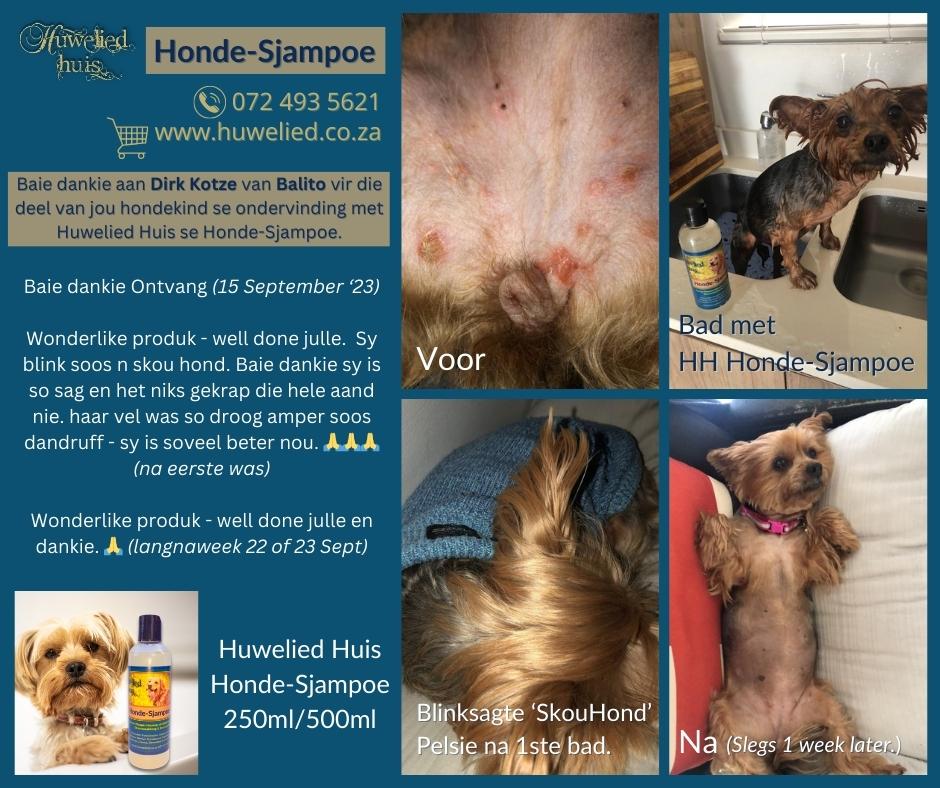 Hondesjampoe