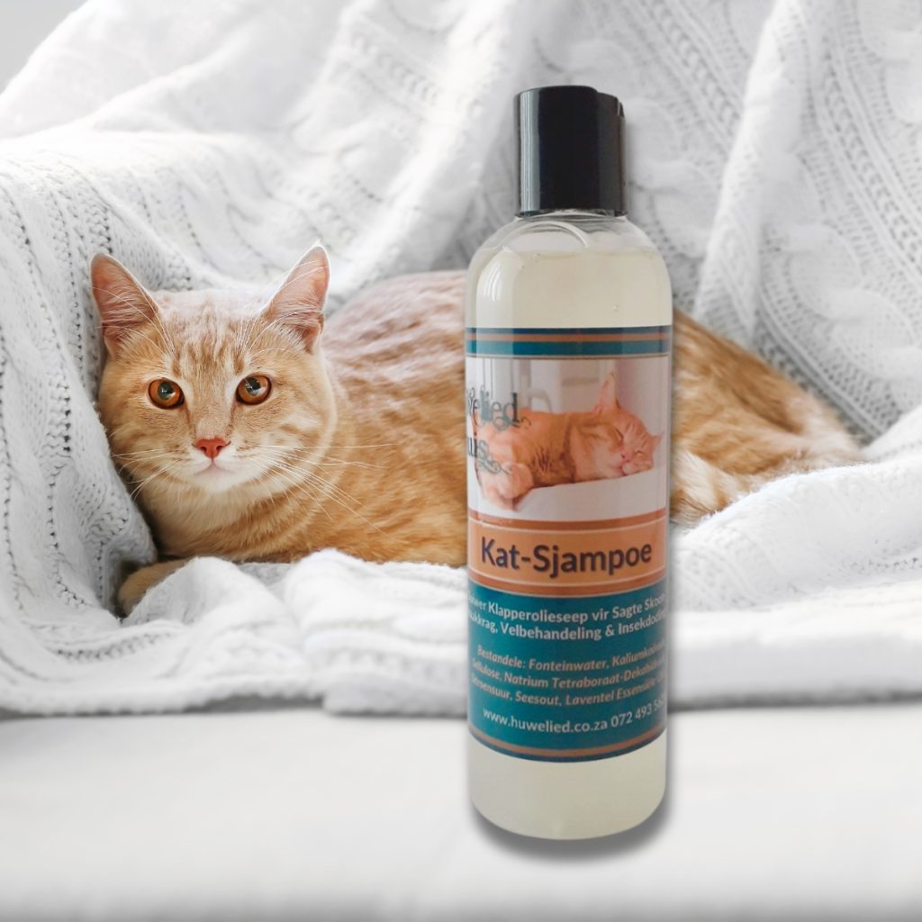 Kat-Sjampoe / Cat Shampoo