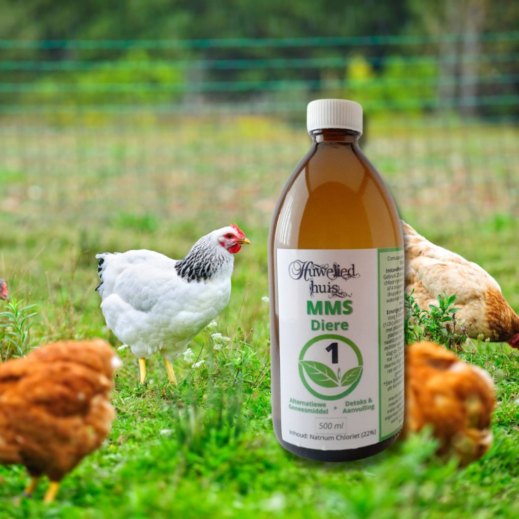 MMS Hoenders / Poultry