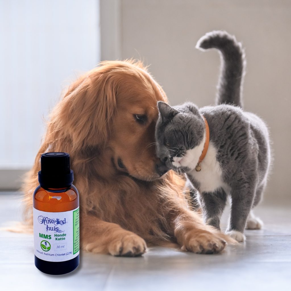 MMS Honde Katte / Cats Dogs