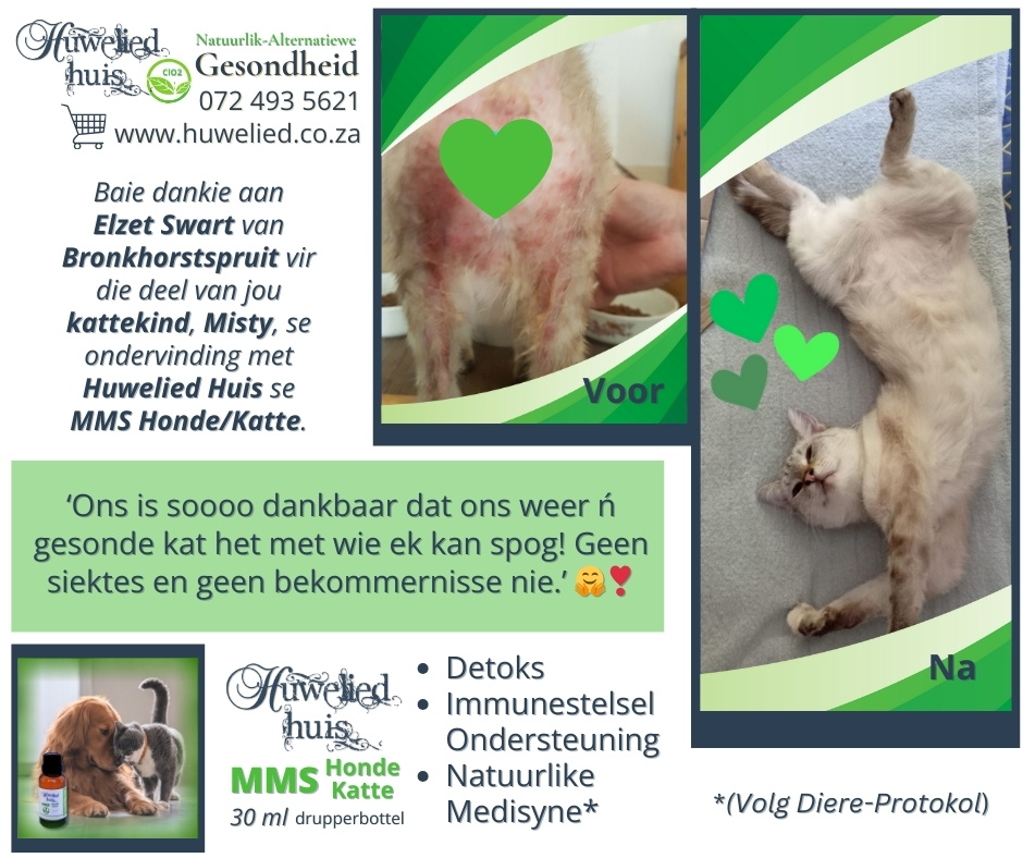 MMS Honde - Katte 30ml - Image 2